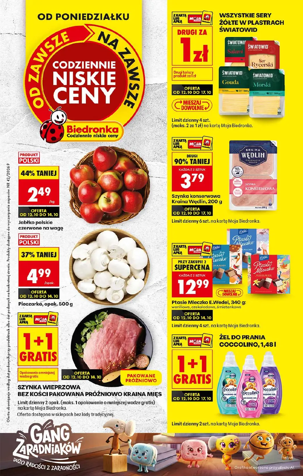 Biedronka, gazetka do 17.10.2026