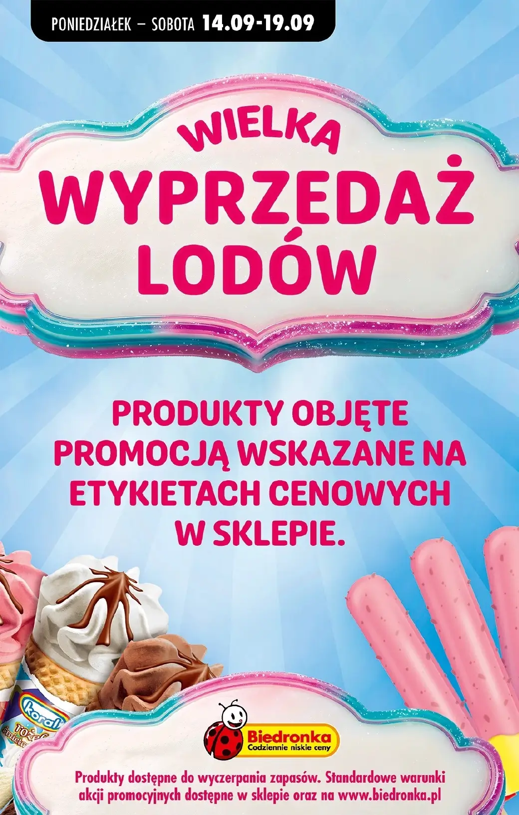 Biedronka, gazetka do 19.09.2026