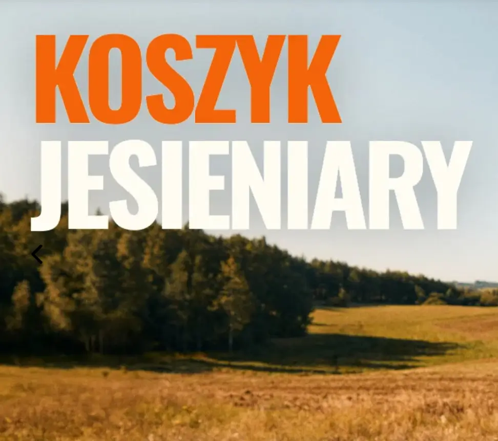 Kod rabatowy Born2Be -15% przy zakupach od 200 zł | Sprawdź