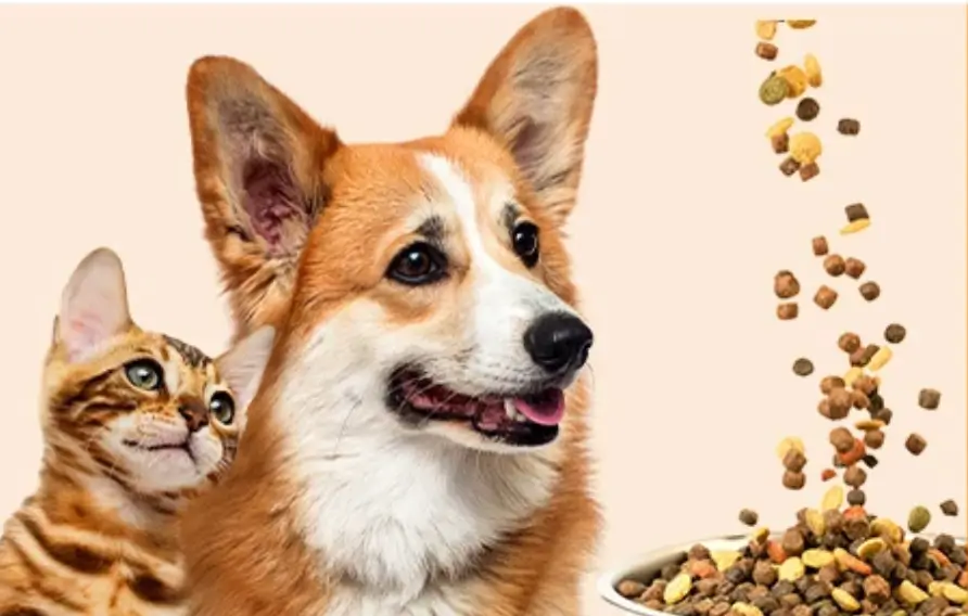 Kod rabatowy Zooplus 5% na suche karmy - odbierz zniżkę!