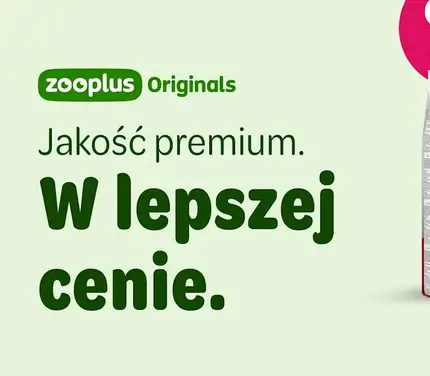 Karma premium w super cenie w Zooplus
