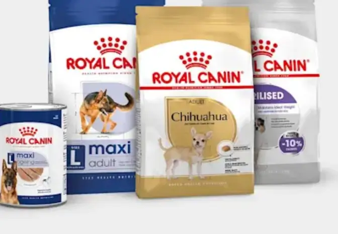 Karma Royal Canin 30% taniej w Zooplus