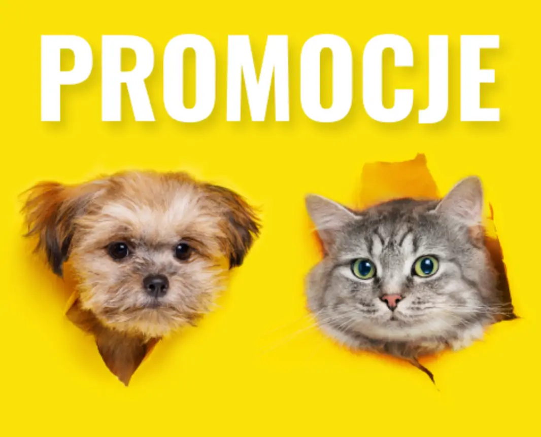 Sprawdź aktualne promocje w John Dog