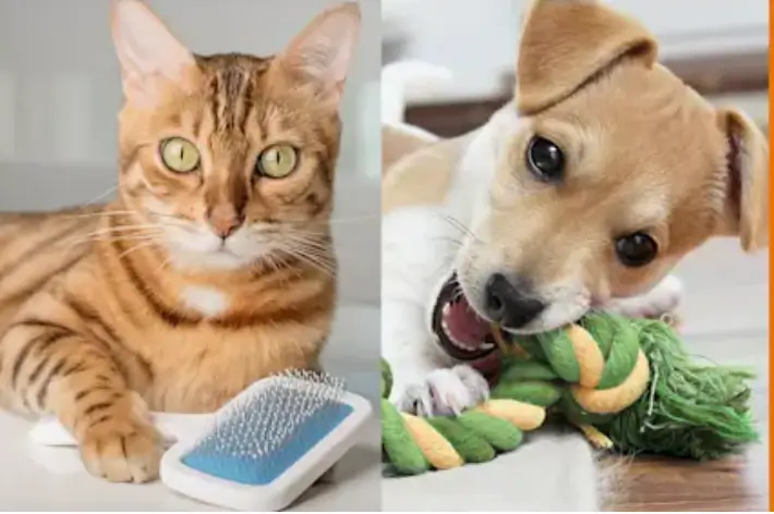 Zdobądź do 30% zniżki na wybrane akcesoria w Zooplus