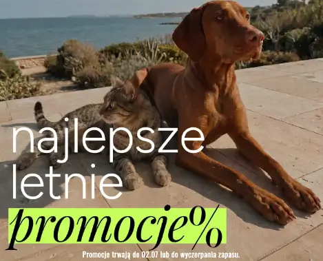 Najlepsze letnie promocje w ofercie John Dog