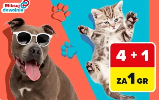 Rabat na piątą najtańszą karmę dla zwierząt w Carrefour