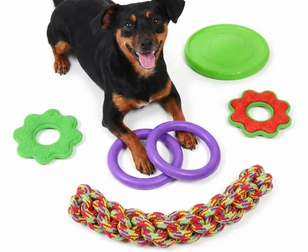 Zabawki 15% taniej w John Dog