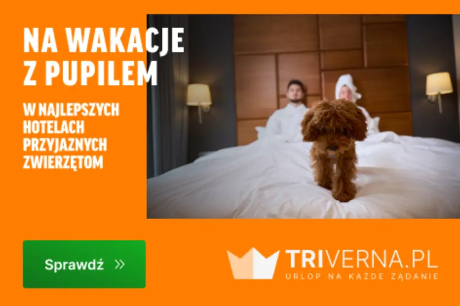 Wakacje z pupilem w najlepszych hotelach w Triverna