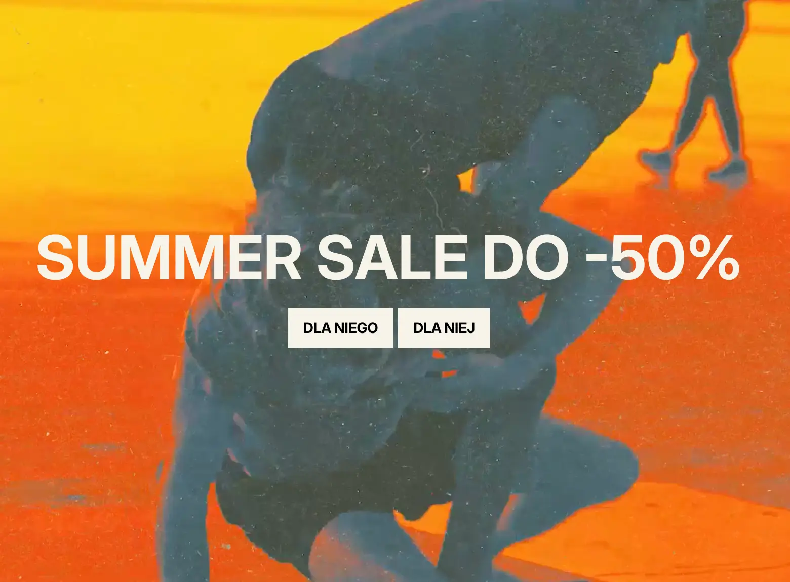 Pitbull – letnia wyprzedaż do -50% 