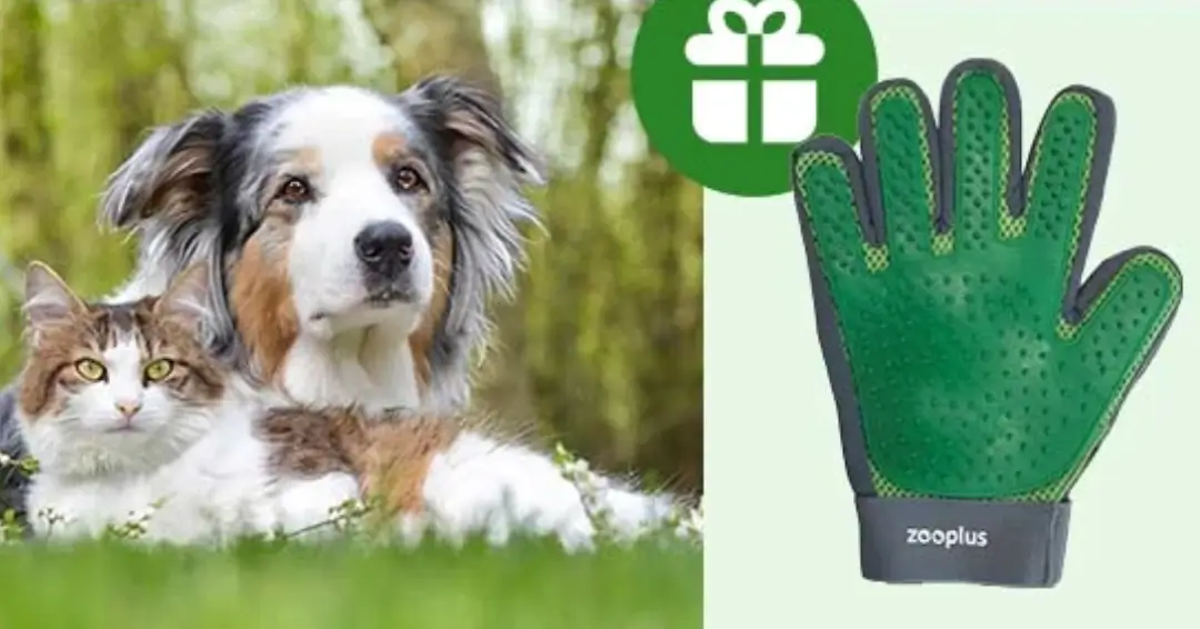 Darmowa rękawica groomingowa w prezencie w Zooplus od 219 zł