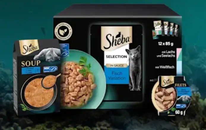Zooplus Sheba 25% taniej - oferta dla kota
