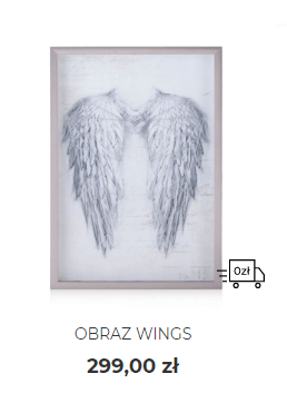 Obraz Wings